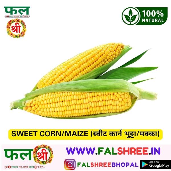 SWEET CORN/MAIZE (स्वीट कार्न भुट्टा/मक्का) - 5