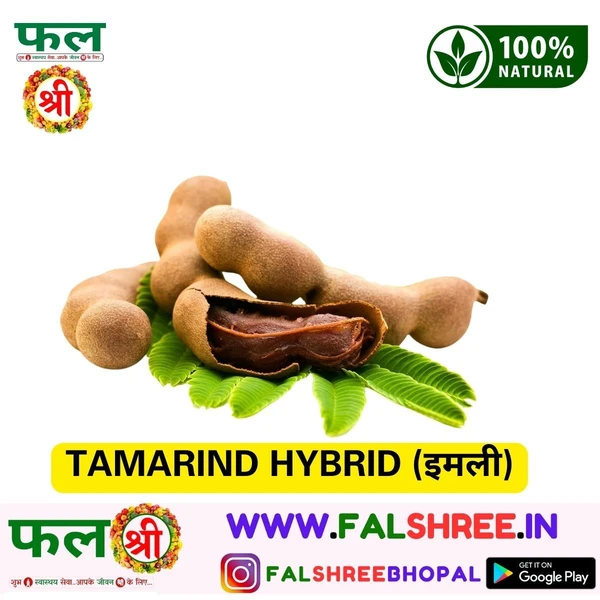 TAMARIND HYBRID (इमली)