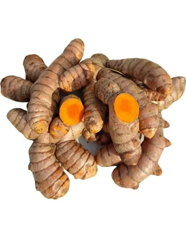 कच्ची हल्दी TURMERIC - 250