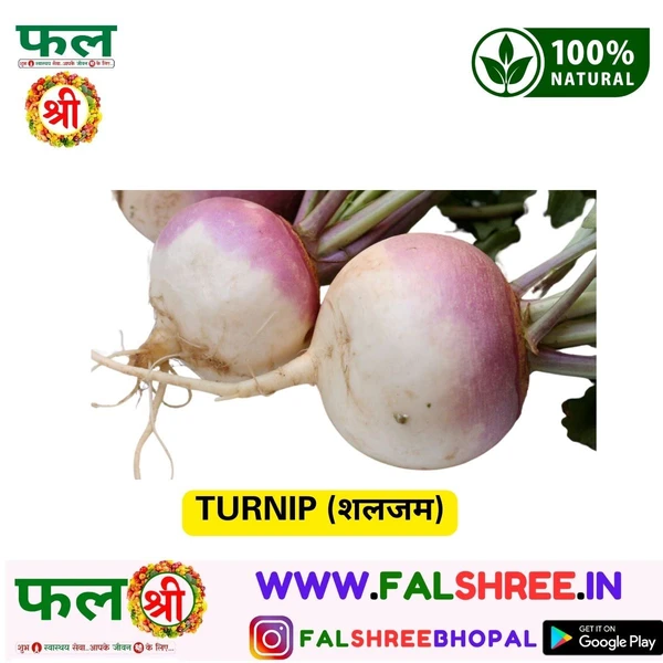 TURNIP (शलजम) - 250