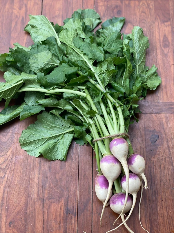 TURNIP (शलजम) - 250