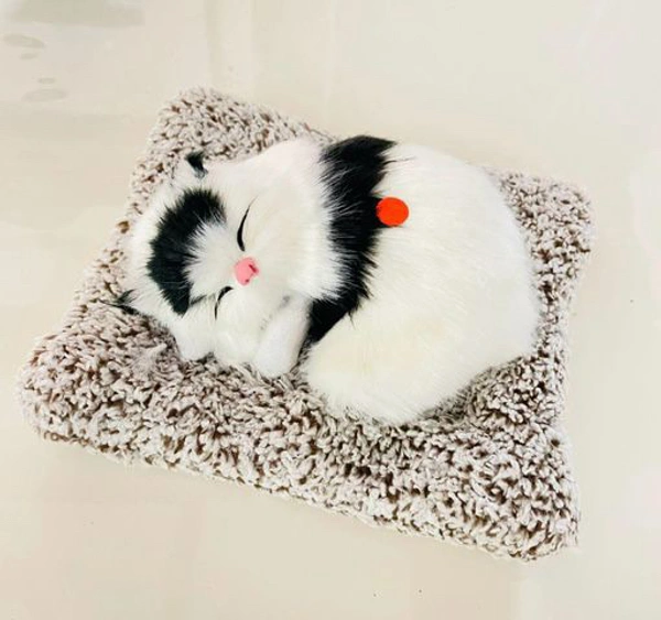 Soft Toys | Ultra Soft Cute Cat with Matt | Gift for Boys, Girls, Childrens | Birthday Gift | Size 18cm (Small, White and Black)