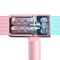 Hot Selling Hair Dryer High-power Blue Light Constant Temperature Negative Ion Ultra-quiet Hot and Cold Wind Hair Dryer