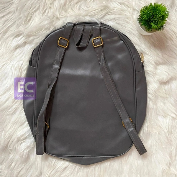 New Trendy Stylish Backpack Bag For Girls And Boys ECB12