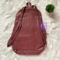 New Trendy Stylish Backpack Bag For Girls And Boys ECB11