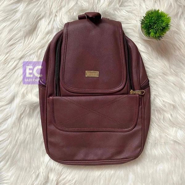 New Trendy Stylish Backpack Bag For Girls And Boys ECB1