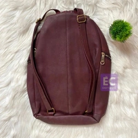 New Trendy Stylish Backpack Bag For Girls And Boys ECB1