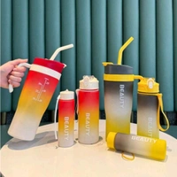 Premium 3 in 1 Beauty Water Bottles With Handle