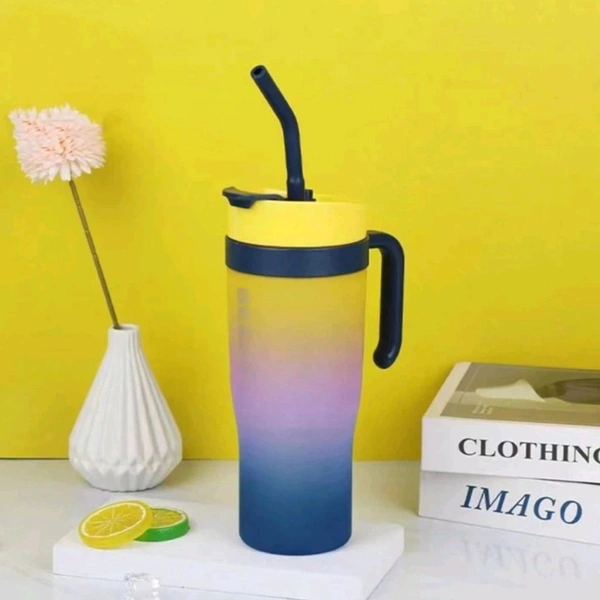 Premium 3 in 1 Beauty Water Bottles With Handle