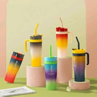 Premium 3 in 1 Beauty Water Bottles With Handle