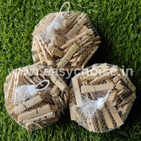 Premium High Quality Wooden Cloth Drying Clips (50pcs)