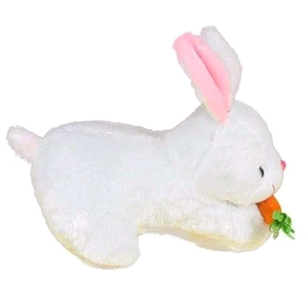 Super Cute Carrot Eating Lovely Rabbit Doll
