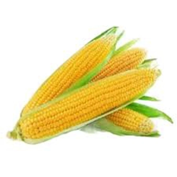 Farm Fresh Sweet Corn 2Pcs 