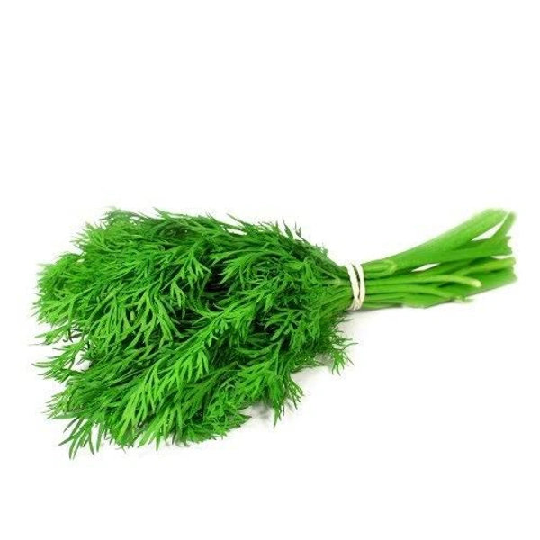 Farm Fresh Dil Leaves 100g