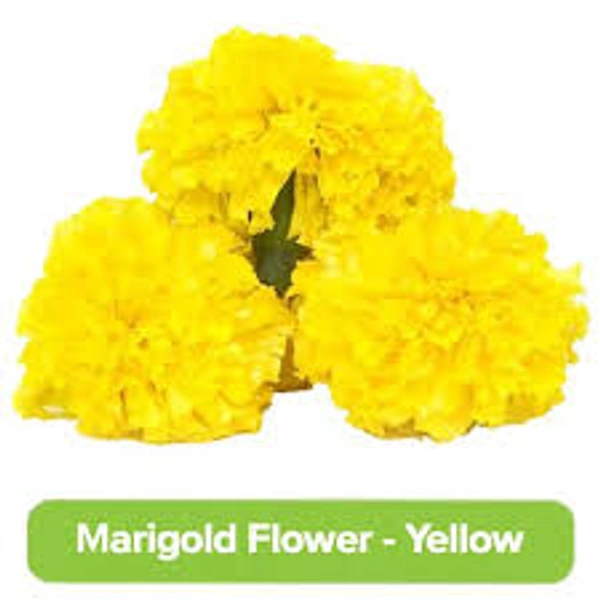 Farm Fresh Marigold Flowers Yellow 250g
