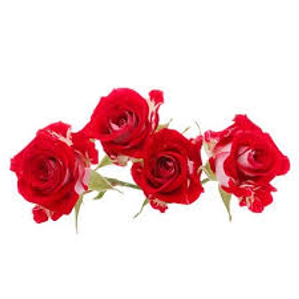 Farm Fresh Cut Roses 250g