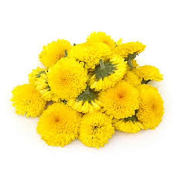 Farm Fresh Chrysanthemum/ Shevanti Flowers 250g