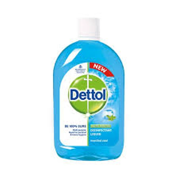 Dettol Liquid Disinfectant For Floor Cleaner Surface Disinfectant Personal Hygiene Menthol Cool 250ml
