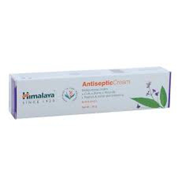 Himalaya Wellness Antiseptic Cream 20g