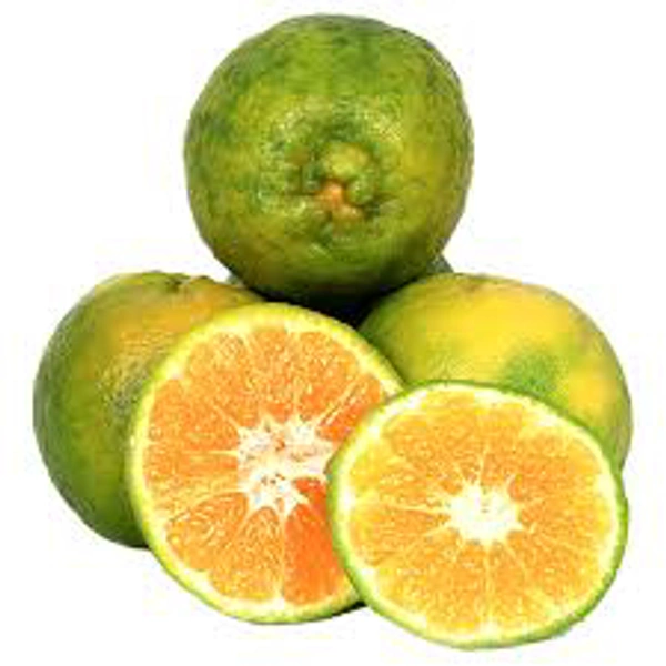 Farm Fresh Orange Nagpur 1Kg
