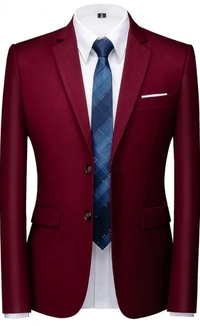 Mehroon 3 Piece Benstroke Suit - Merlot, 34