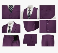 Wine Benstroke 3 Piece Suit - Clairvoyant, 48