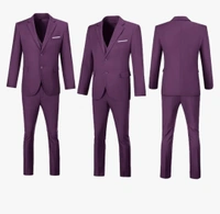 Wine Benstroke 3 Piece Suit - Clairvoyant, 48