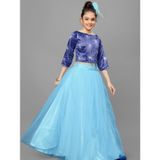 Mirrow Trade Girl’s Long Tulle Bridesmaid Skirt/Lehenga Choli ( maa tara market ) - Size - 3-4 Years, 9-10 Years, 10-11 years, 11-12 years, blue, pink