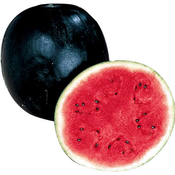 Watermelon / Kiran / Vathakka / Thanni Mathan - 1.5 to 2 Kg