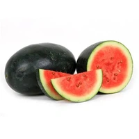 Watermelon / Kiran / Vathakka / Thanni Mathan - 2 to 2.5 Kg