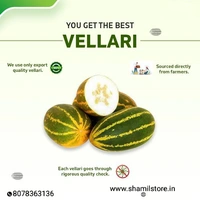Vellari / Vellarikka / വെള്ളരി / വെള്ളരിക്ക - 500 gm