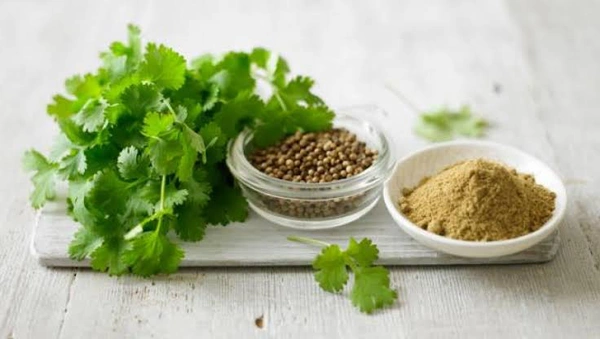 Malliyila (Coriander Leaves) മല്ലിയില മല്ലിച്ചപ്പ് - 100 gm