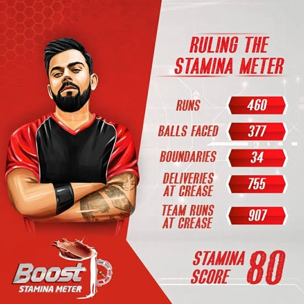 Boost Energy Drink Powder  - 500gm