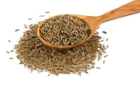 Thripthi Cumin / Jeerakam / ജീരകം - 50 gm
