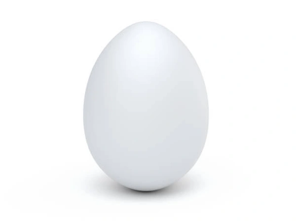 White Egg / വെള്ള മുട്ട - 1 Pcs