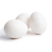 White Egg / വെള്ള മുട്ട - 1 Pcs