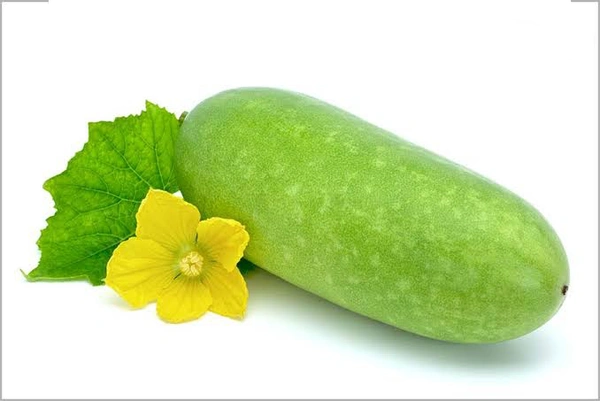 Ash Gourd ഇളവൻ കുമ്പളം - 450-550gm