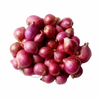 Red Onion / Cheriyulli Cheriya Ulli / Chuvanna Ulli / ചെറിയുള്ളി - 1 Kg