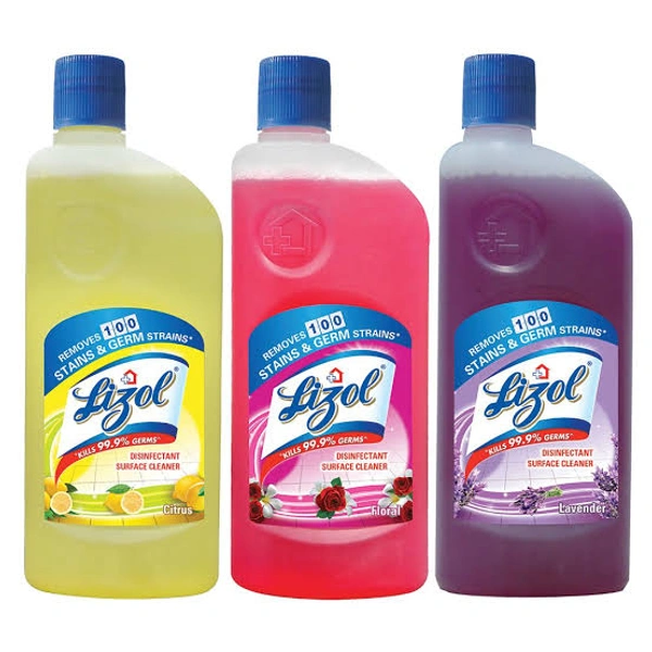 Lizol Floor Cleaner - Citrus, 500 ml
