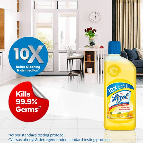Lizol Floor Cleaner - Citrus, 500 ml