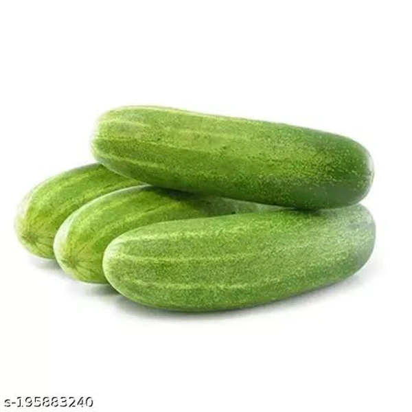 Cucumber / Kakkiri / കക്കിരി - 1 Kg