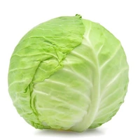 Cabbage / കാബേജ് - 1 Pcs