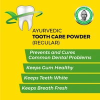 KP Namboodiri's KP Namboodiris Ayurvedic Dental Regular Powder / Namboori Podi /  നമ്പൂരി പൊടി - 40 gm