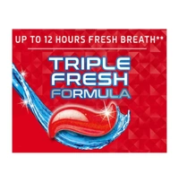 Hindustan Unilever Closeup Everfresh++ Triple Fresh Formula Toothpaste Red Hot - Red, 43 gm