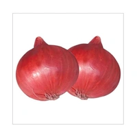 Mysore Onion / മൈസൂർ ഉള്ളി / Ulli  - 500gm