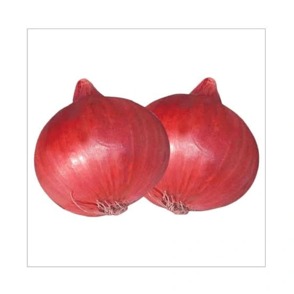 Mysore Onion / മൈസൂർ ഉള്ളി / Ulli  - 500gm