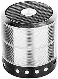 Mini Bluetooth Speaker WS 887 with FM Radio, USB Pen Drive Slot and Memory Card Slot, AUX Input Mode Speaker (Red) - Black