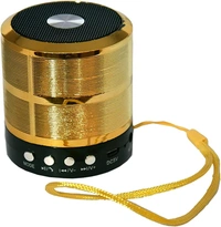 Mini Bluetooth Speaker WS 887 with FM Radio, USB Pen Drive Slot and Memory Card Slot, AUX Input Mode Speaker (Red) - Blue