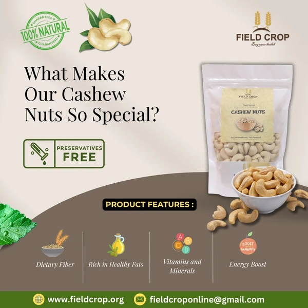 Premium Cashew ,W 240 - 500 gm