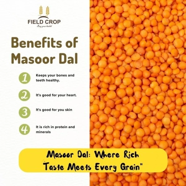 Unpolished Masoor Dal-500gm - 500 Gm